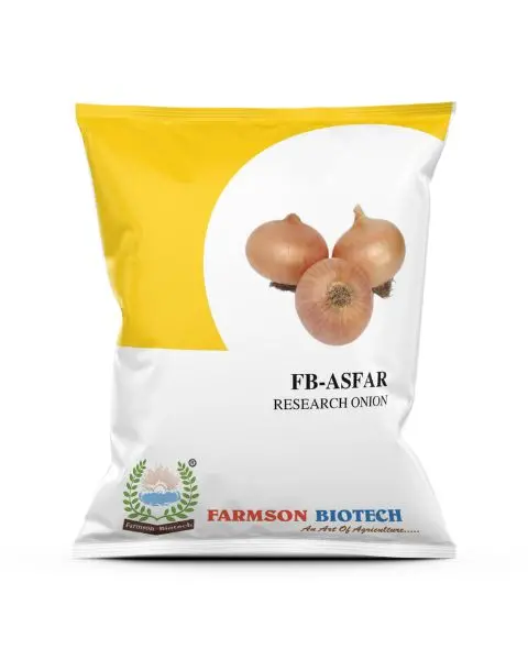 Farmson Asfar Onion Seeds (Yellow Patti, Puna Fursangi) 1