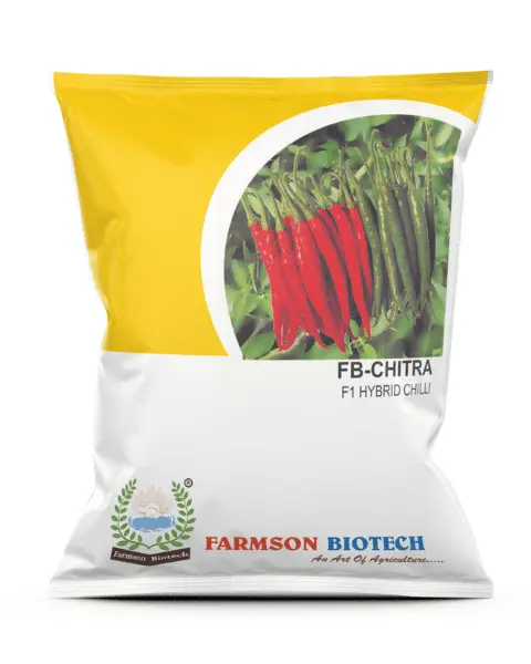 Farmson Chilli Seeds Fb-Chitra 1