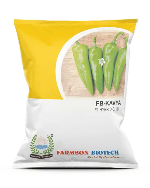 Farmson Fb-Kavya F1 Chilli Seeds- Cylindrical, Medium Pungent, Tlcv Resistant 1
