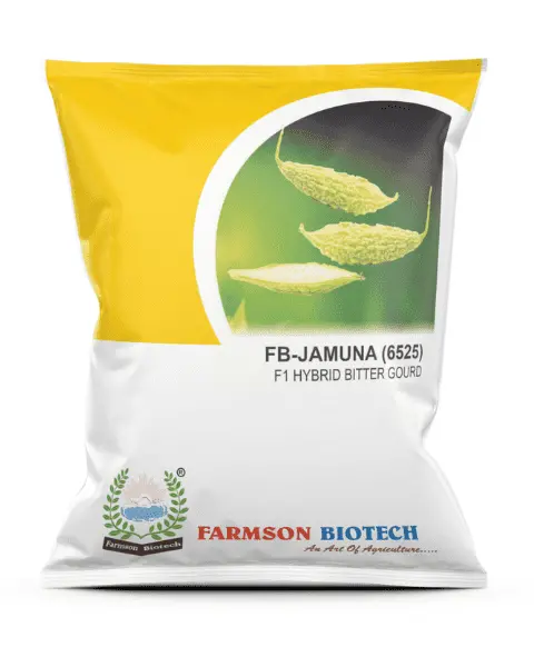 Farmson Jamuna (6525) F1 Hybrid White Bitter Gourd Seeds (Short) 1