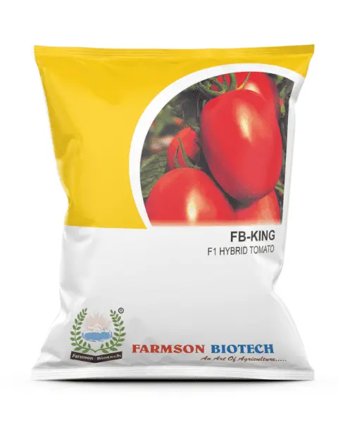 Farmson King F1 Hybrid Tomato Seeds (Square Oval And Red) 1