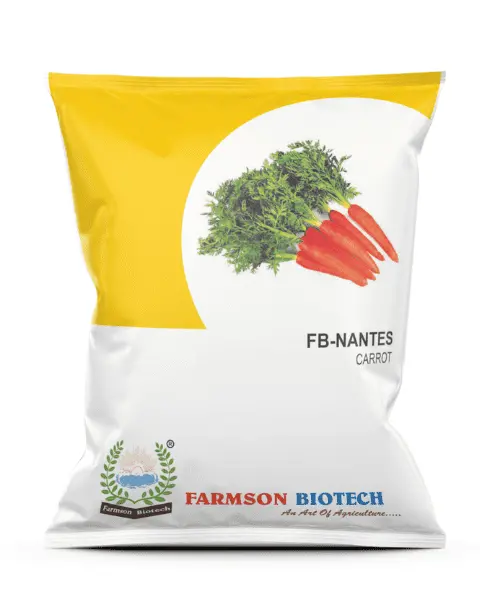 Nantes F1 Carrot Seeds - Deep Orange, Cylindrical, 15-20 Cm 1