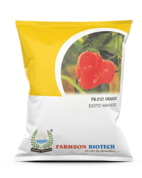 Farmson (Orange Habanero) F1 Hybrid Chilli Seeds (Very Hot) 1