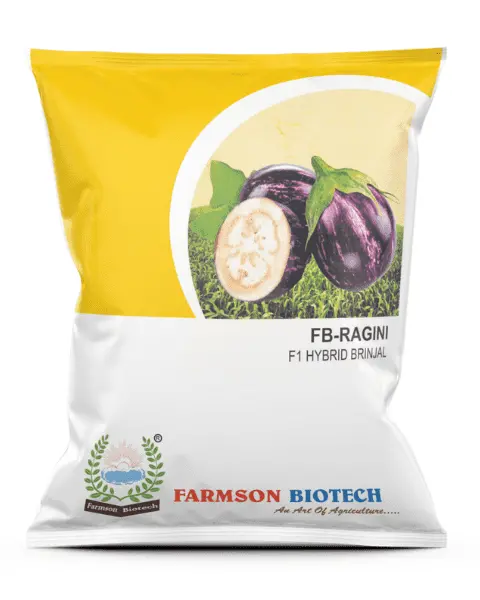 Farmson Ragini (4082) F1 Hybrid Brinjal (Egg Plant) Seeds 1