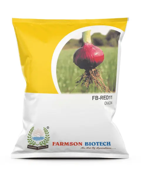 Farmson Red 11 Onion Seeds (Red Or Pinkish Red) 1