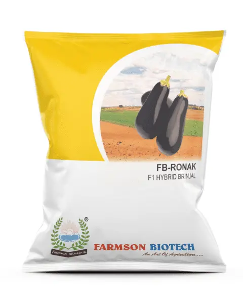 Farmson Ronak F1 Hybrid Brinjal (Egg Plant) 1