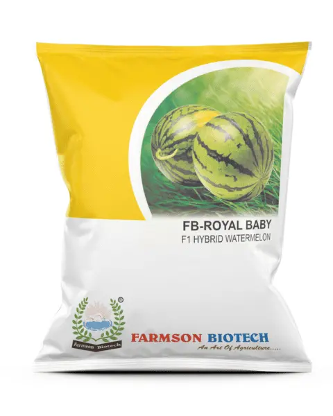 Farmson Royal Baby F1 Hybrid Watermelon Seeds 1