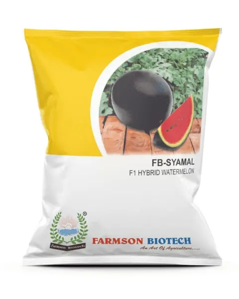 Farmson Shyamal F1 Hybrid Watermelon Seeds 1