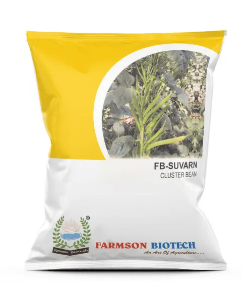 Farmson Suvarn Research Clusterbean Seeds 1