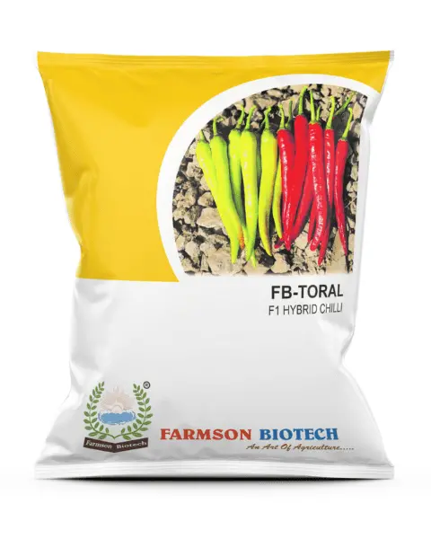 Farmson Toral F1 Hybrid Chili Seeds (Dual Purpose) 1