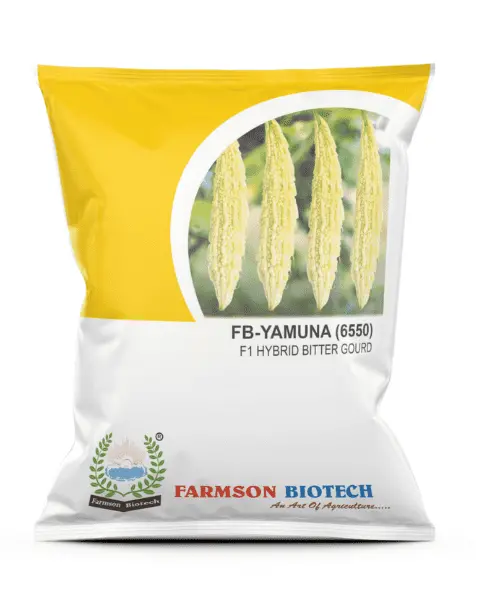 Farmson Yamuna (6550) F1 Hybrid White Bitter Gourd Seeds (Long) 1