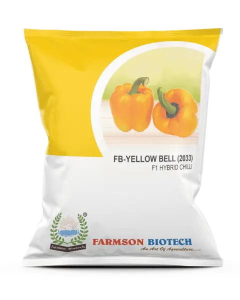 Fb - 2033 (Yellow Bell) F1 Hybrid Capsicum Seeds 1