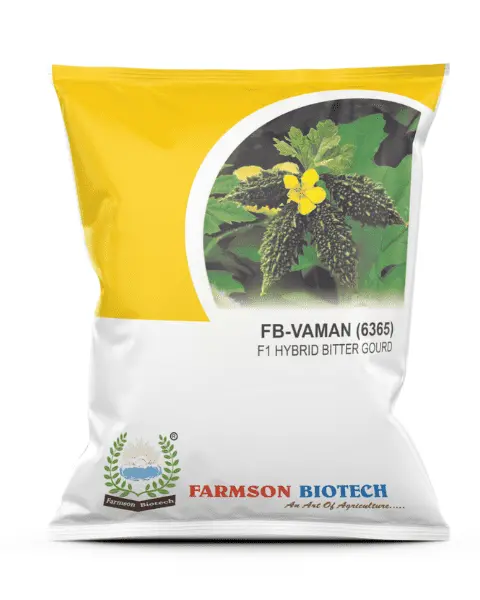 Fb-Vaman 6365 Bitter Gourd - Small Fruit, Dark Green, Year-Round 1