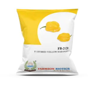 Farmson Fb - 2120 Habanero Yellow Seeds 1