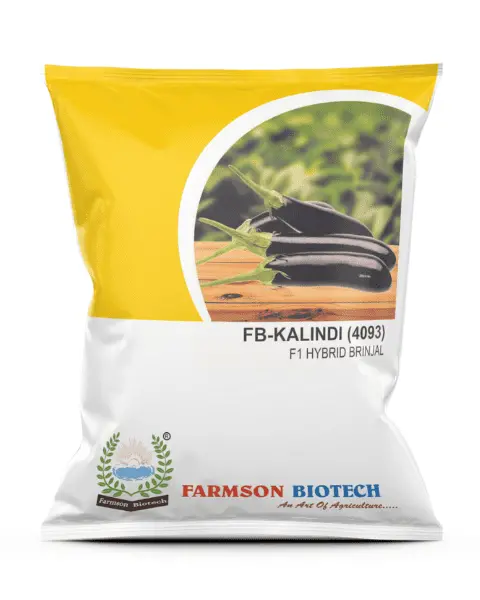 Farmson Fb-Kalindi (4093) F1 Hybrid Brinjal (Egg Plant) Seeds 1