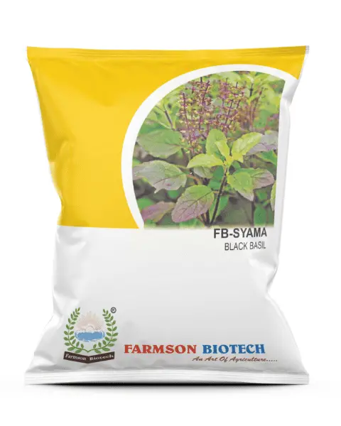 Farmson Fb-Shyama Black Basil Seeds 1