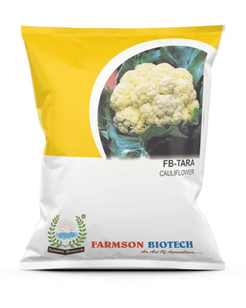 Farmson Fb-Tara Cauliflower Seeds 1