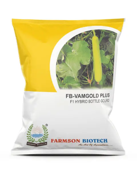 Farmson Fb-Vamgold Plus F1 Hybrid Bottle Gourd Seeds 1