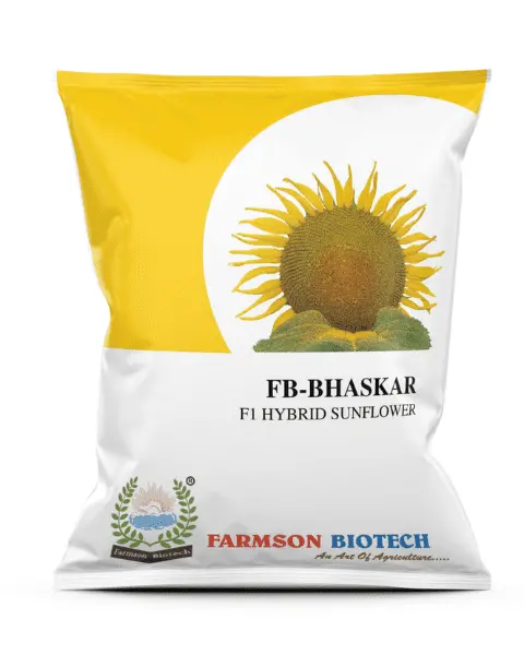 Farmson Variety (Fb-Bhaskar) Sunflower Seeds - Buy 1 Get 1 Sale 1