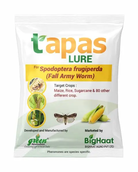Fall Armyworm (Spodoptera Frugiperda) Pheromone Lure | Tapas 1