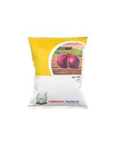 Farmson Fb-1153 Onion Seeds (Dark Red, N53) 1