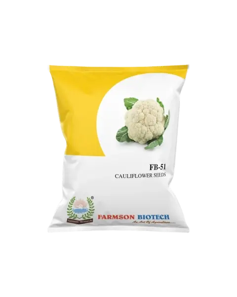 Fb-51 Cauliflower Seeds 1