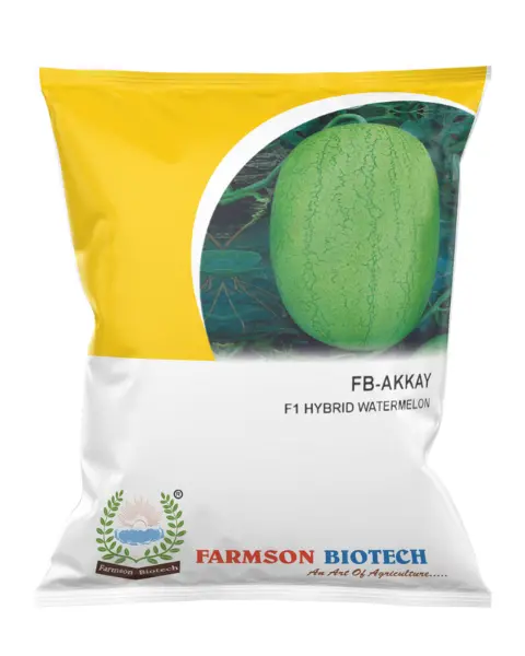Fb-Akkay F1 Hy Watermelon Seeds 1