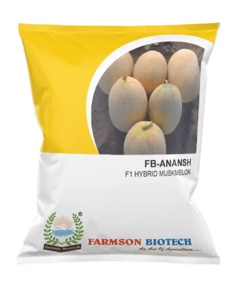 Fb- Ananas F1 Hybrid Muskmelon Seeds 1