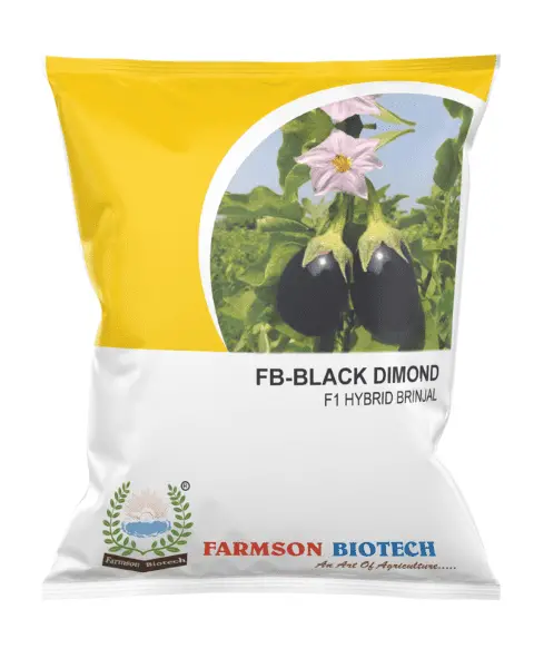 Fb- Black Dimond F1 Hybrid Brinjal (Eggplant) Seeds 1