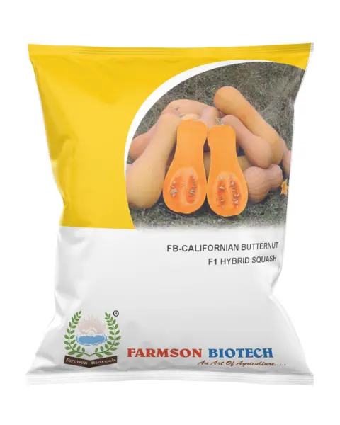 Fb-Californian Butternut F1 Hybrid Squash Seeds 1