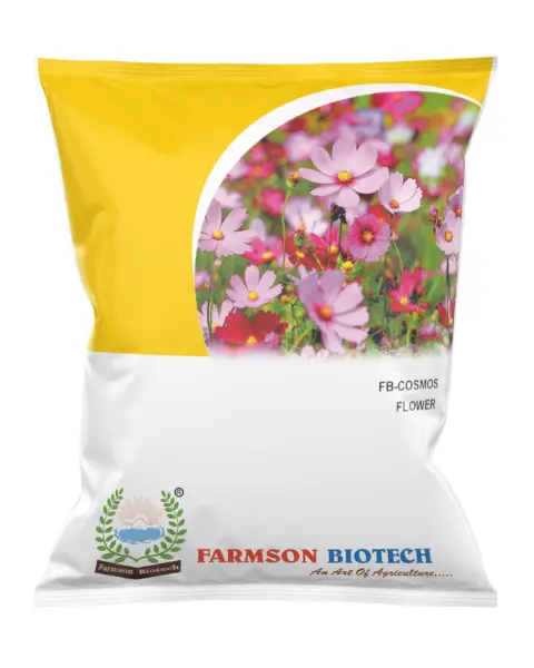 Fb-Cosmos Flower 1