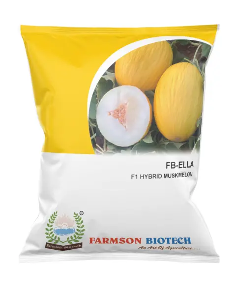 Fb-Ella F1 Hy Muskmelon Seeds 1