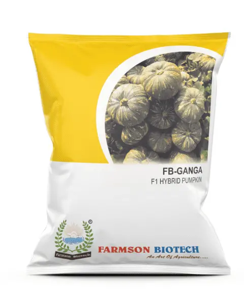 Farmson Fb-Ganga F1 Hybrid Pumpkin Seeds 1