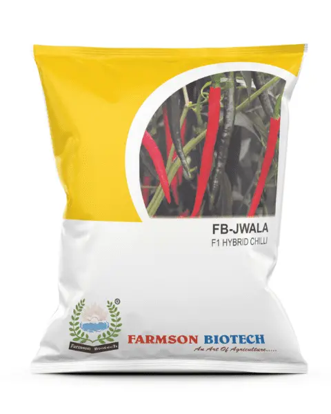 Fb-Jwala F1 Hybrid Chili Seeds 1