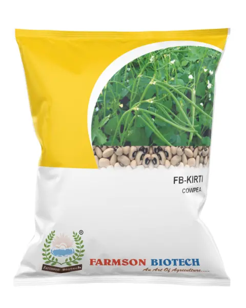 Fb-Kirti Cowpea Seeds 1