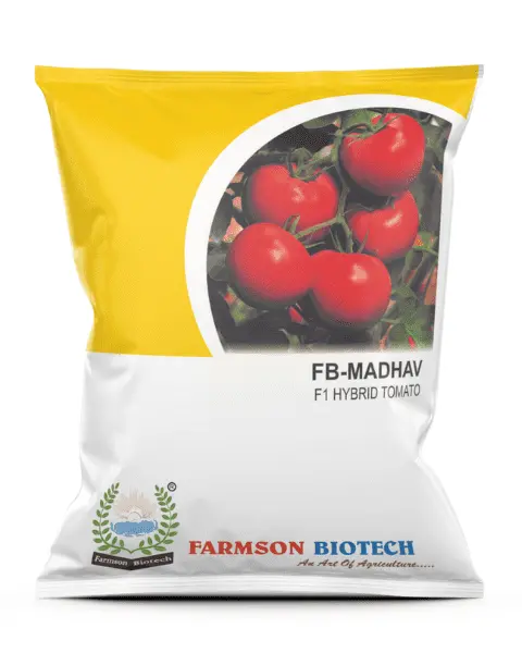 Farmson Madhav F1 Tomato Seeds (Round, Red) Seeds 1