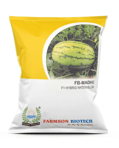 Fb-Madhu F1 Hybrid Watermelon Seeds 1