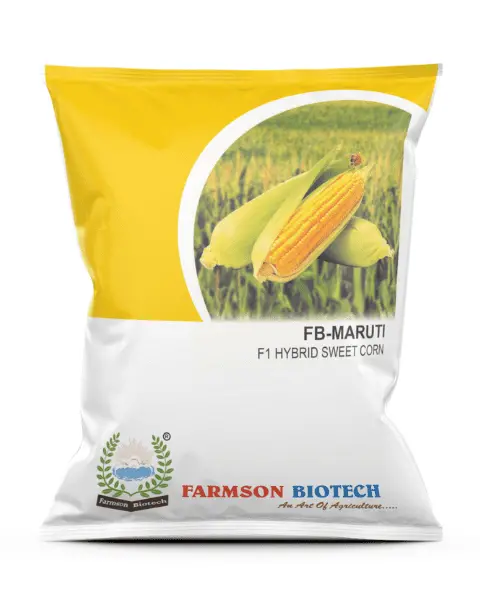 Fb-Maruti Hybrid Corn Seeds 1