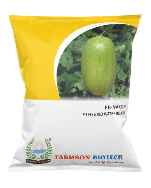 Fb Maxon F1 Hybrid Watermelon 1