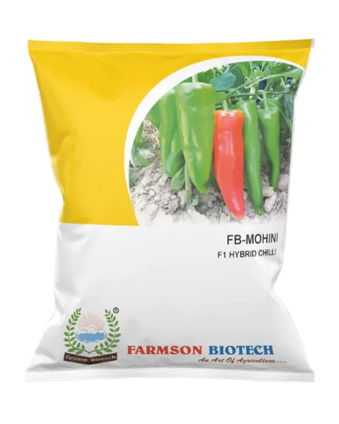 Fb-Mohini F1.Hy. Chili Seeds 1