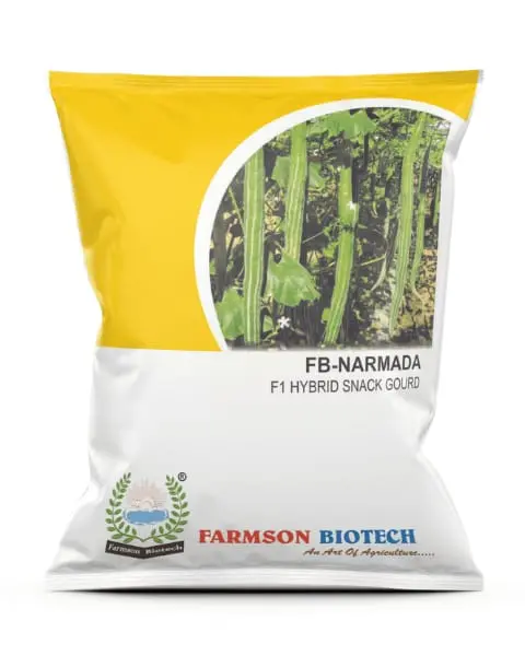 Fb-Narmada F1 Hybrid Snake Gourd Seeds 1