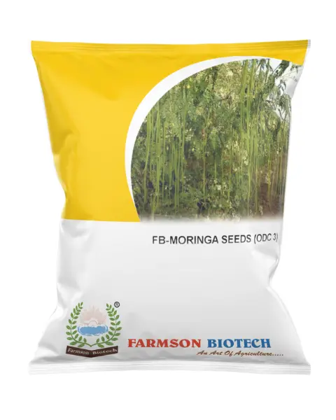 Fb-Odc 3 Drum Stick (Moringa) Seeds : Vigorous, High-Yield Moringa Seeds 1