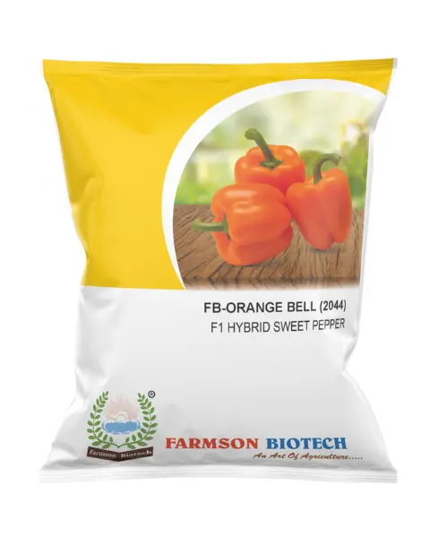 Fb-Orange Bell (2044) F1 Hybrid Sweet Pepper Seeds 1