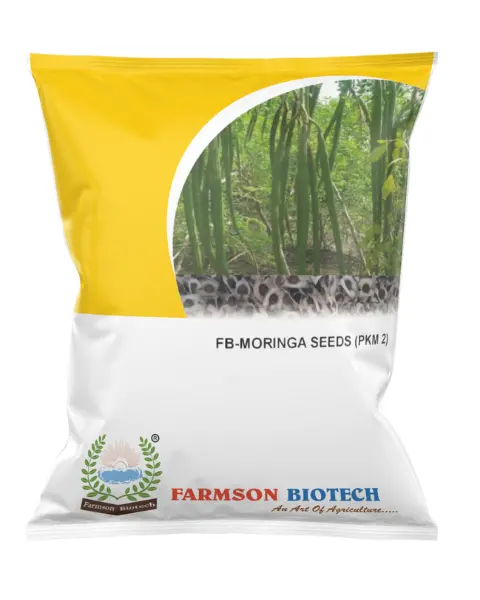 Fb-Pkm 2 Drum Stick (Moringa) Seeds 1