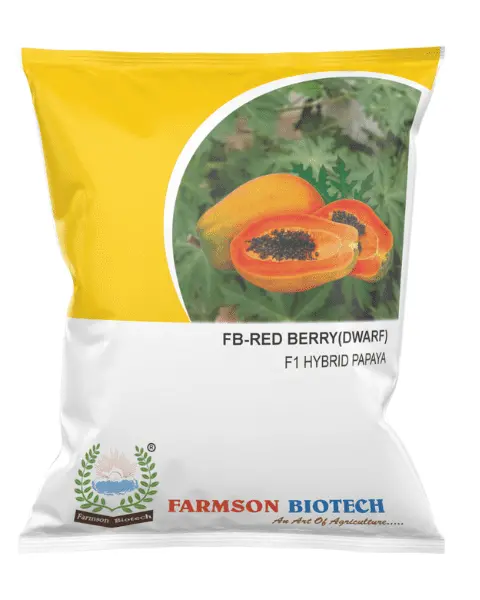 Fb-Red Berry (Dwarf) F1 Hybrid Papaya Seeds 1