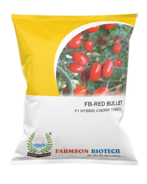 Fb-Red Bullet Oval F1 Hybrid Cherry Tomato 1