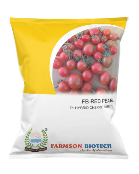 Fb-Red Pearl F1 Hybrid Cherry Tomato 1