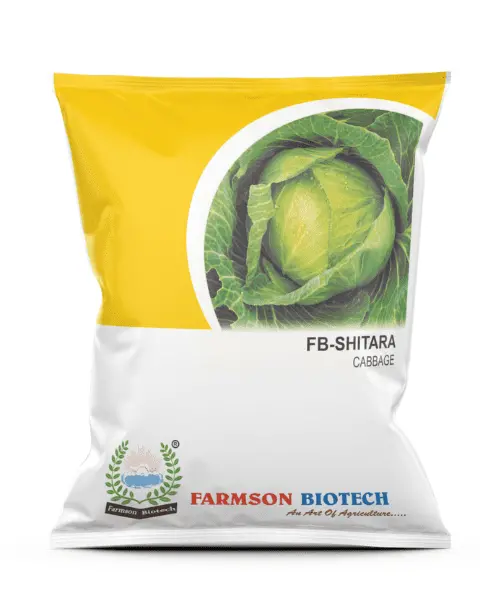 Farmson Fb-Shitara Cabbage Seeds 1