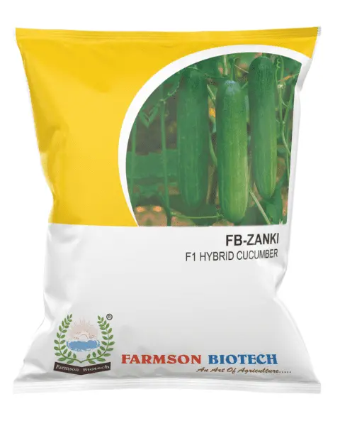 Fb-Zanki F1 Hybrid Cucumber Seeds 1