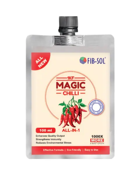 Fib-Sol Magic-Chilli 1